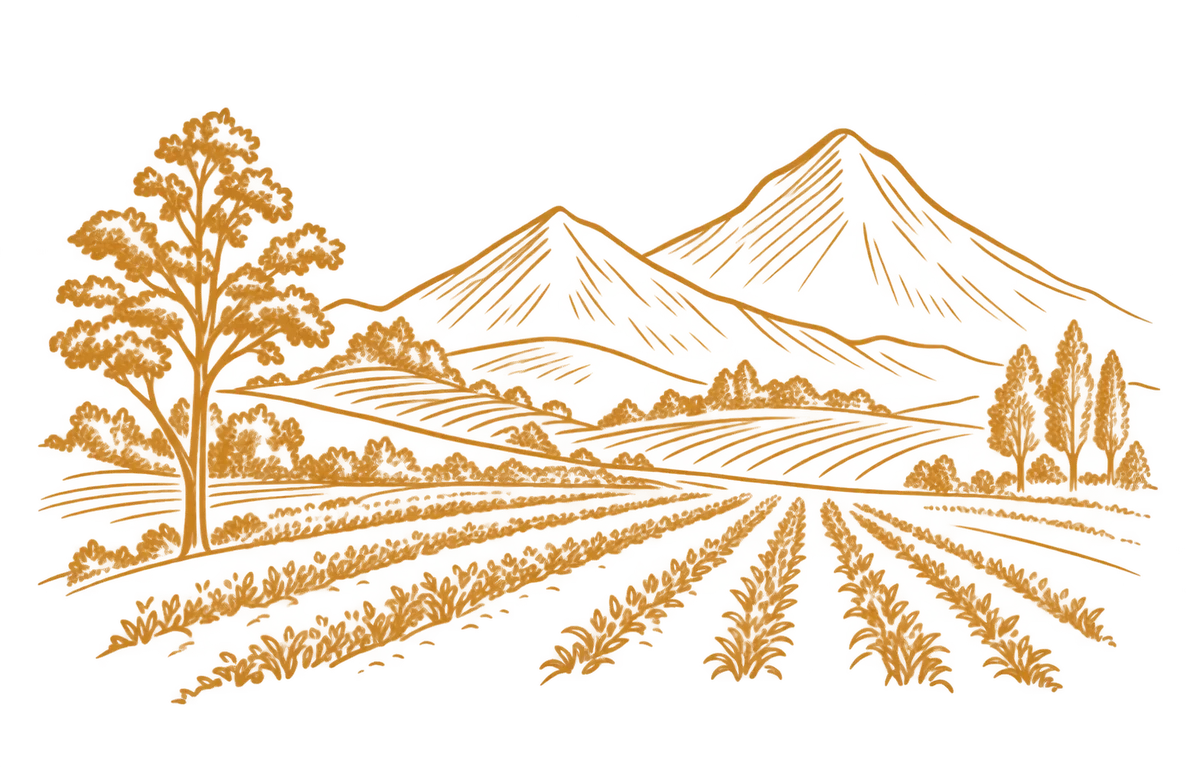 Region